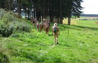 Week-end de randonnée nu dans le Westerwald