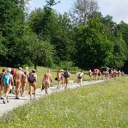 04 Hiking in the 'Hainich'[de]04 Wandern im Hainich[nl]04 Wandelen in de Hainich[fr]04 Promenade dans le Hainich