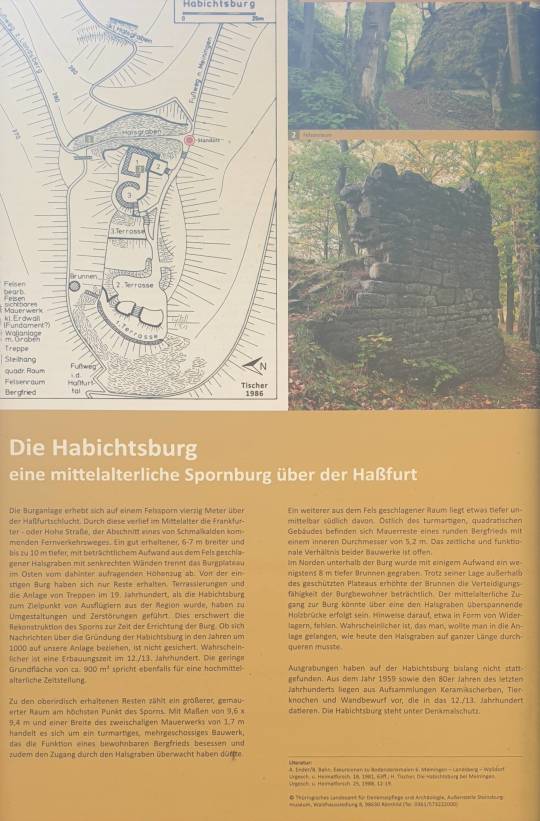 12/31 Ruines du Habichtsburg