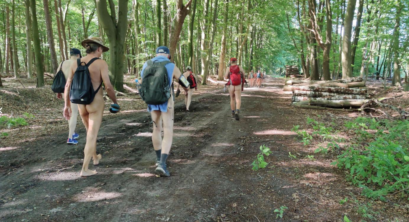 1(2) La forêt de production composée d'arbres, de troncs et de voies de circulation