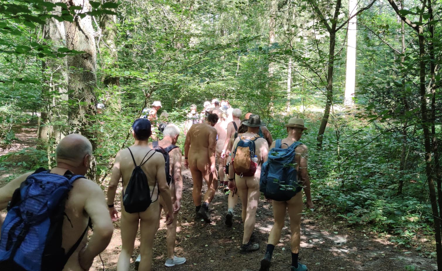 9(9) Retour dans la forêt des Bockholter Berge