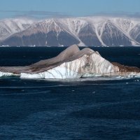 Iceberg au bord de l'Arctique