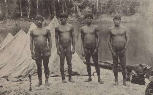 Les hommes Mehinaku. La coutume d'attacher le pénis sous le cordon de ceinture n'est pratiquée que par intermittence dans les tribus de la région du Xingu. Mais il est rare que l'on retire complètement le cordon de la hanche.