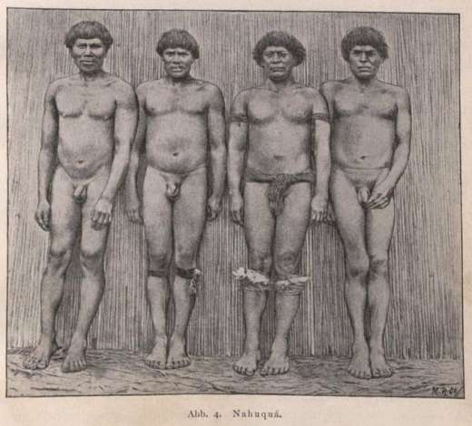 Les hommes nahuquá portent une belle variété de cordons de hanche et aussi des couronnes décoratives de jambes sous le genou.