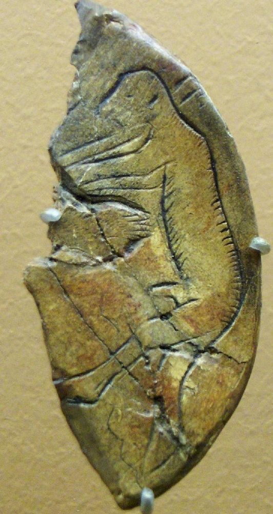 La figure masculine gravée sur la moitié d'un disque d'os est également représentée en position assise et visiblement dévêtue. Photo: Musée des antiquités nationales, Saint-Germain en Laye. Creative Commons via wikimedia