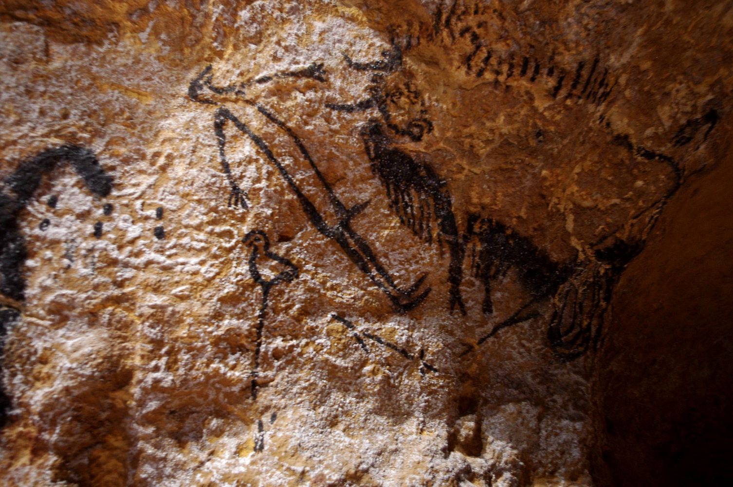Le dessin du bison chassé dans la grotte de Lascaut (France) a été réalisé vers 17.000 av. {!mobile}La relation qui existe entre les motifs de l'image n'a pas encore été comprise. {/mobile}Photo: Traumrune, Public Domain.