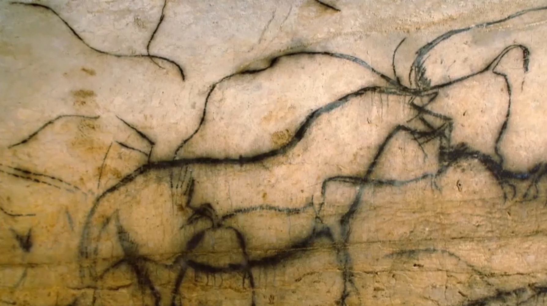 De nombreux dessins d'animaux de chasse de la grotte de Pech Merle (France) ont été réalisés par un seul et même artiste. {!mobile}Des traces de peinture datant de 64.000 ans ont également été trouvées dans les grottes de la vallée du Lot et ne peuvent donc provenir que de Néandertaliens. {/mobile}Public Domain.