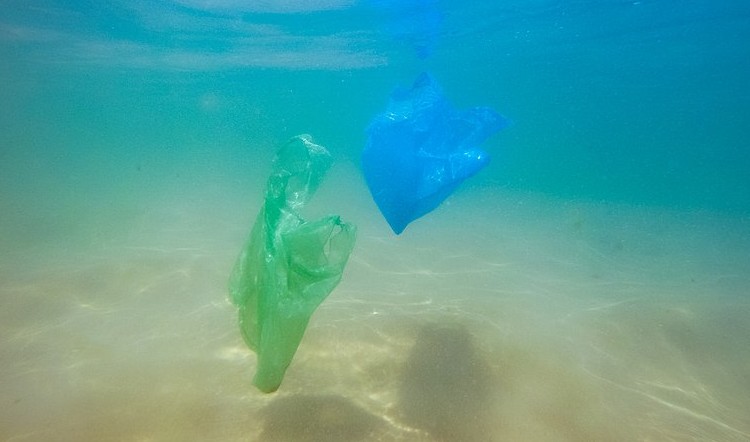 Déchets plastiques en mer