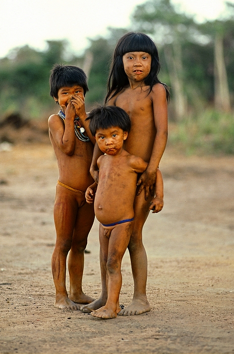 Les enfants de Yawalapiti en Amazonie