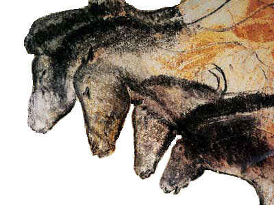 Peinture de chevaux dans la grotte Chauvet